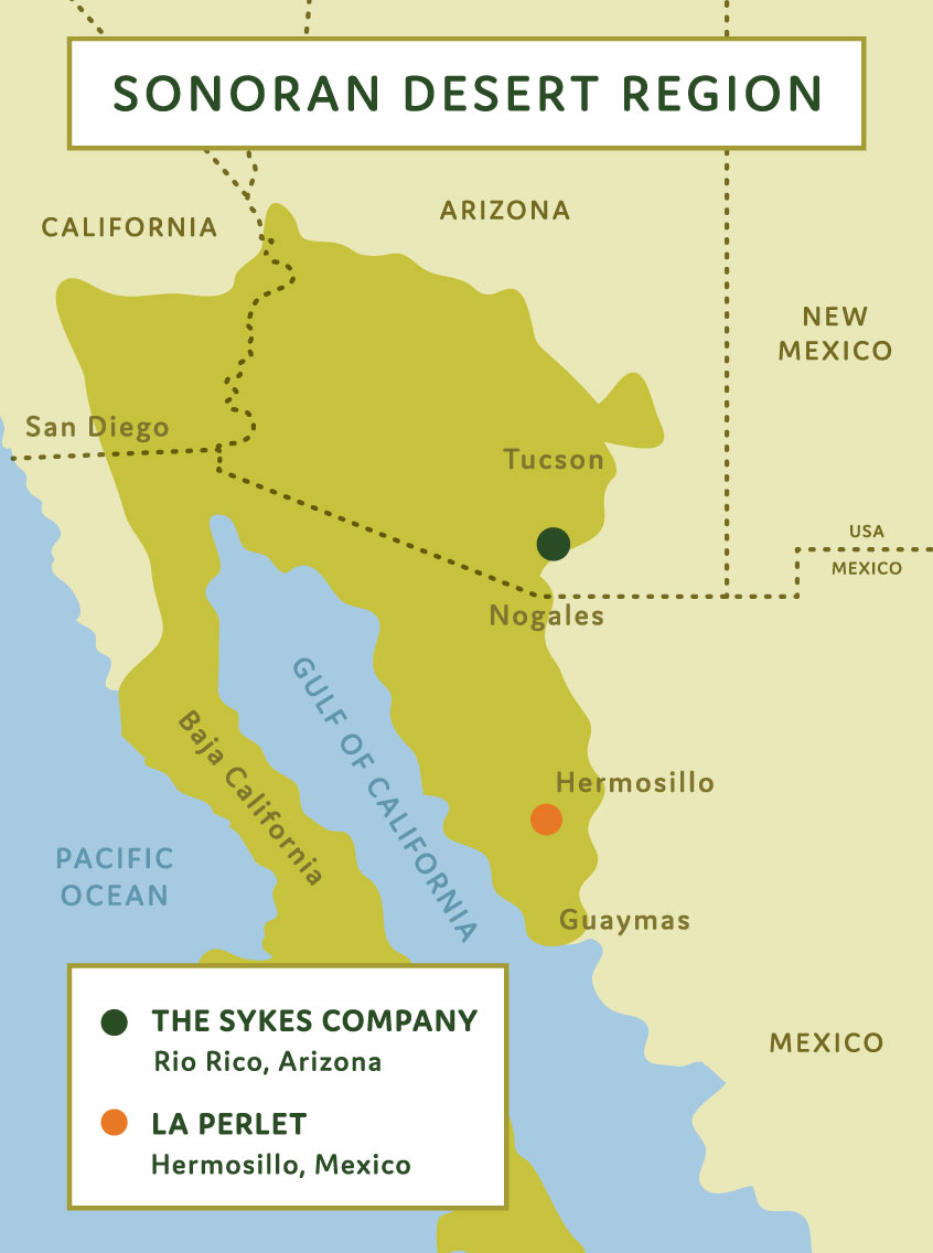 https://thesykescompany.com/wp-content/uploads/2018/04/The-Sykes-Co-Sonoran-Desert-Region-Map.jpg